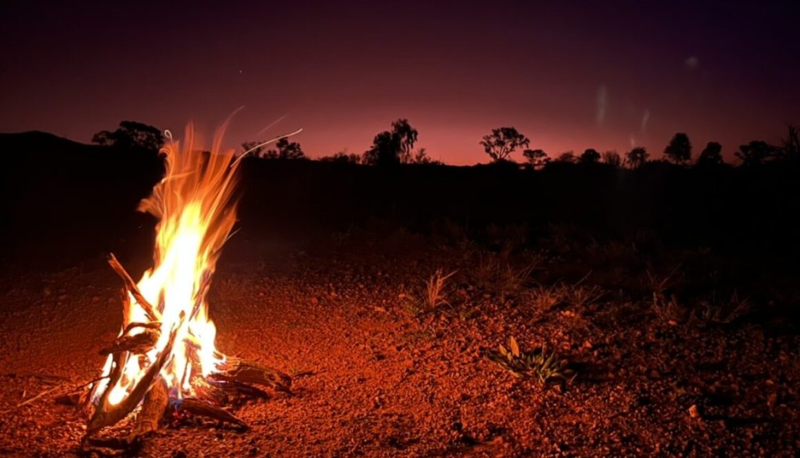 A6D19C13-B1F3-43B5-838A-513373F8AC47