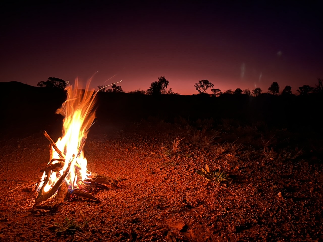 A6D19C13-B1F3-43B5-838A-513373F8AC47