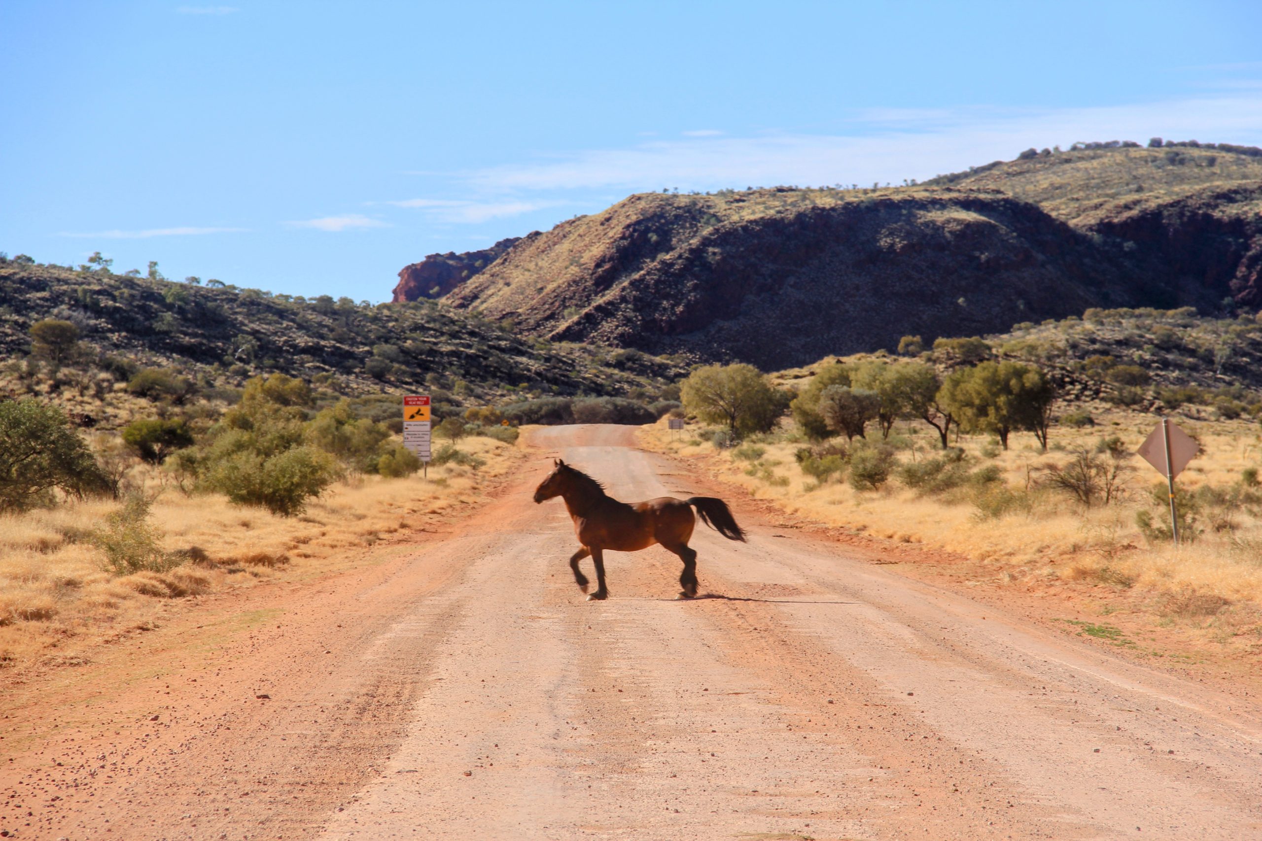 55BC181B-02B7-4952-9E51-08051DDD9776