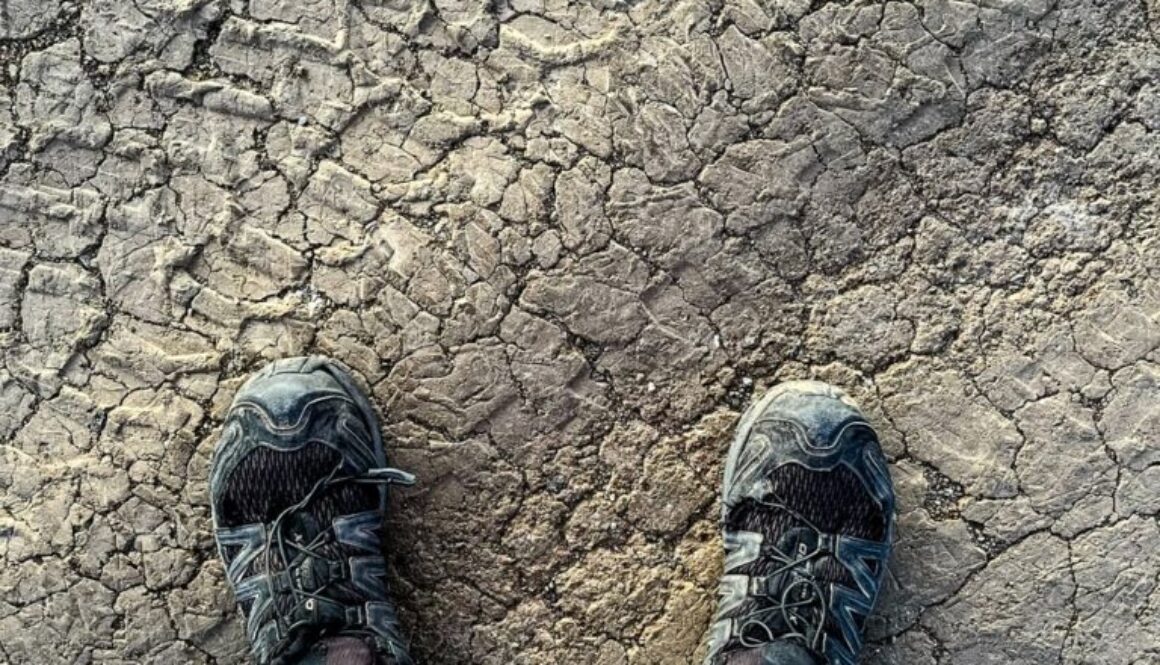 C298638A-C79E-4825-AFB2-A6765D191B88