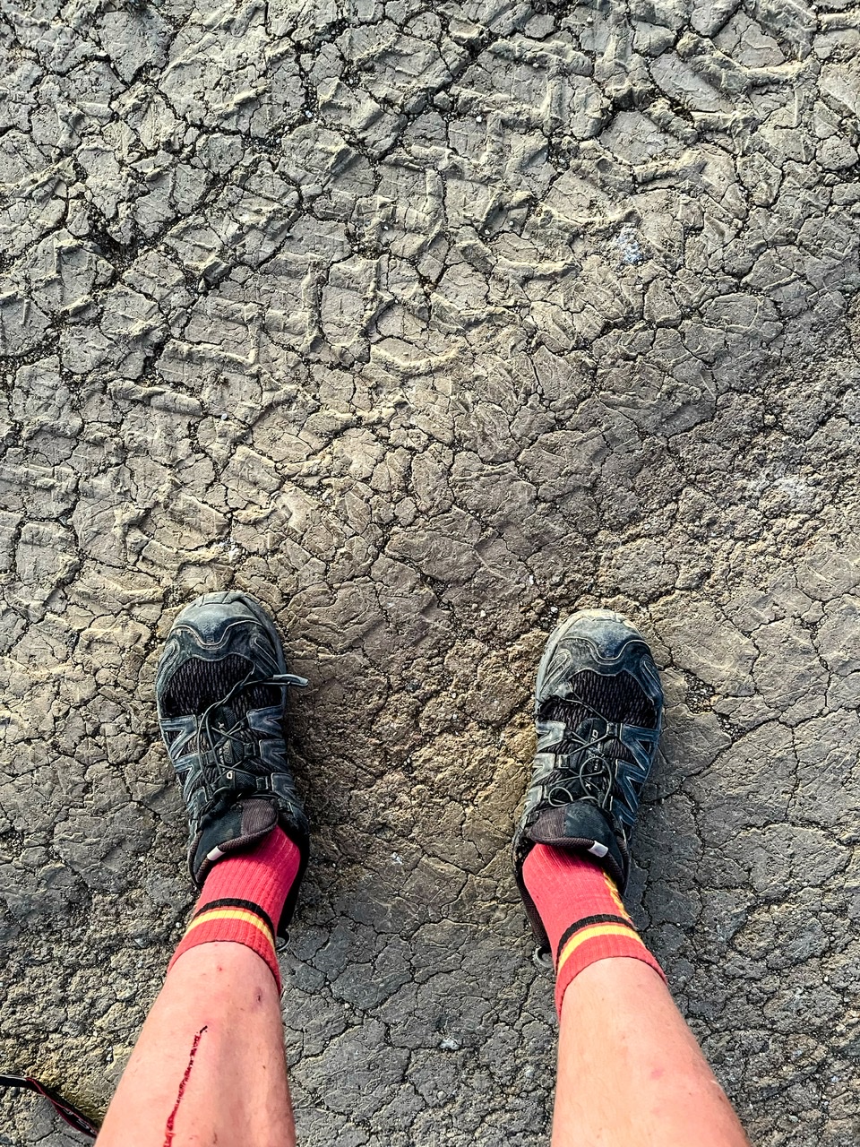 C298638A-C79E-4825-AFB2-A6765D191B88