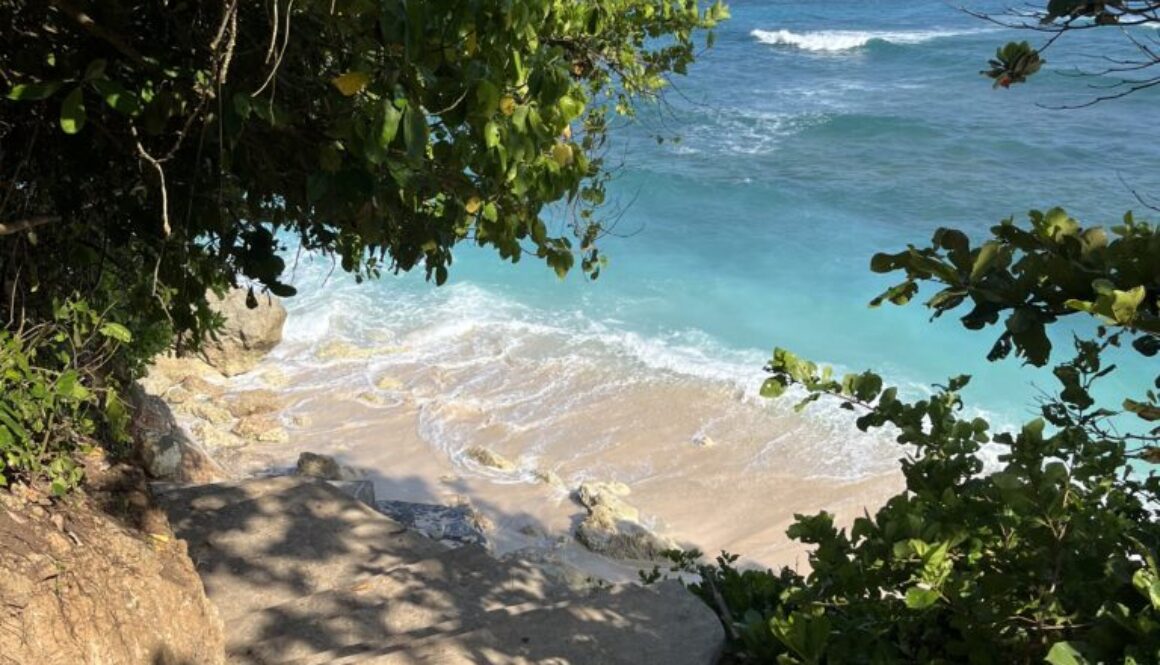 EFA0E27C-02C6-4576-A192-969FEA2972B8