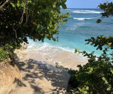 EFA0E27C-02C6-4576-A192-969FEA2972B8