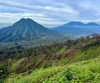 8F197A13-4DC0-4CFA-B379-A5F6E1014D2B