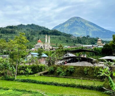 4F21F967-9B7C-4D5E-A83C-7310B497A46E