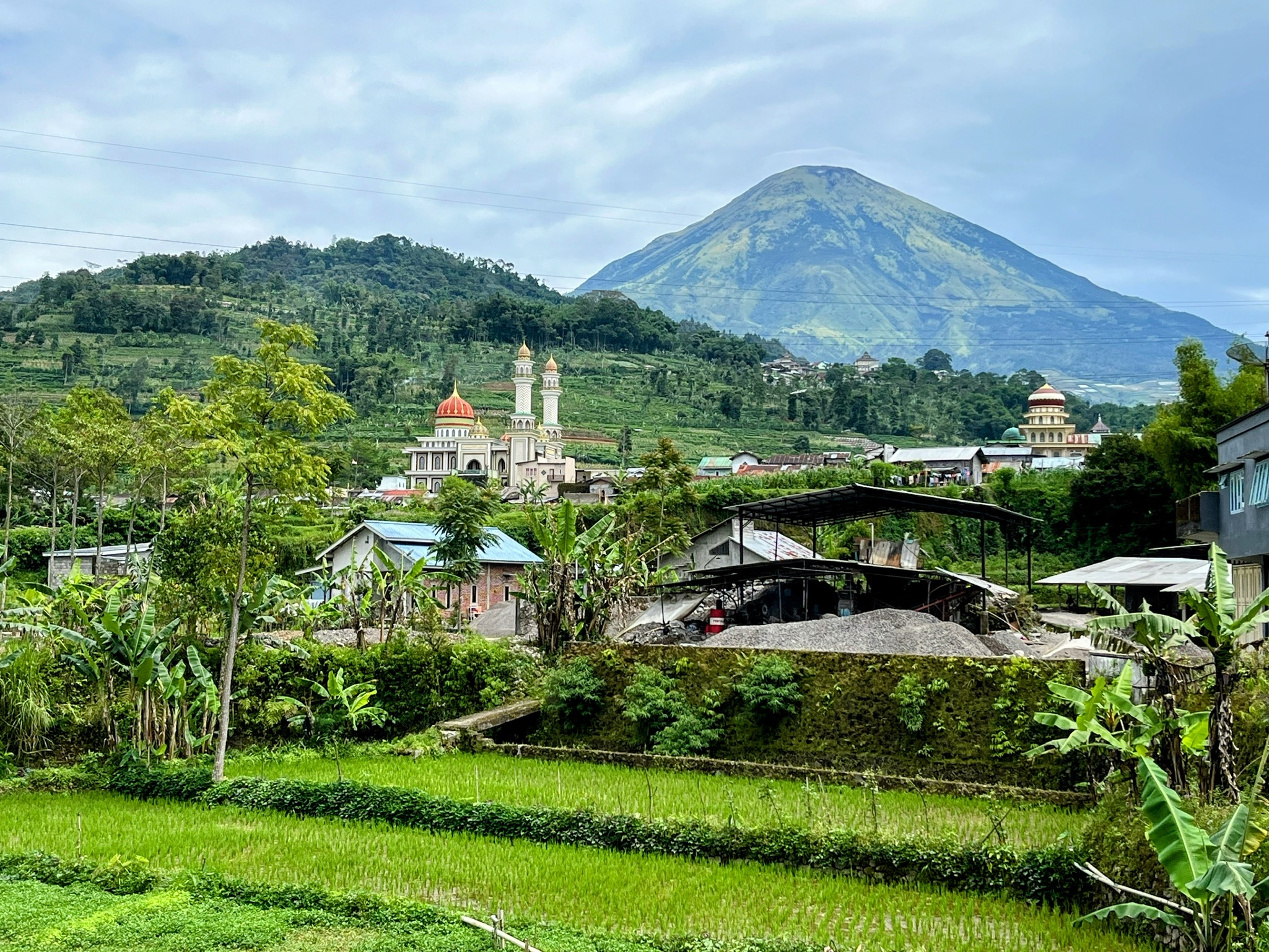 4F21F967-9B7C-4D5E-A83C-7310B497A46E